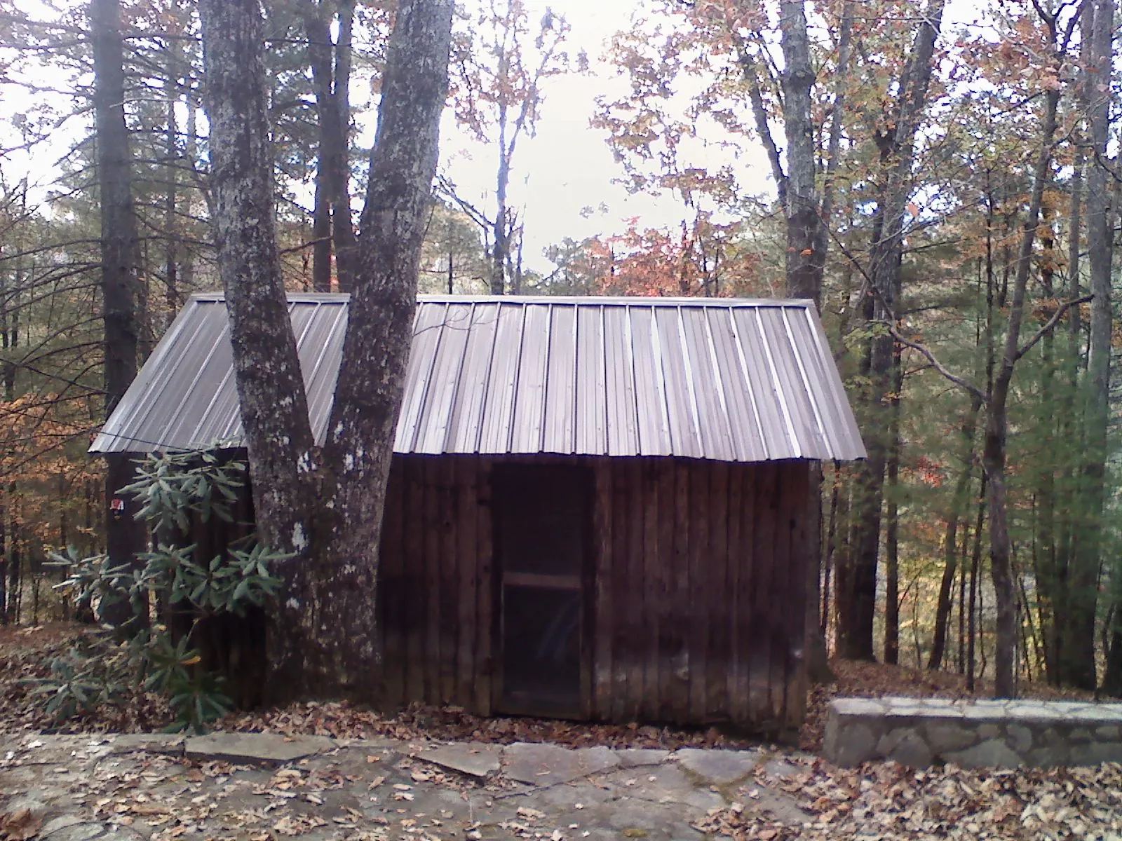 New metal gable roof on a small log shed among the trees in Gautier
