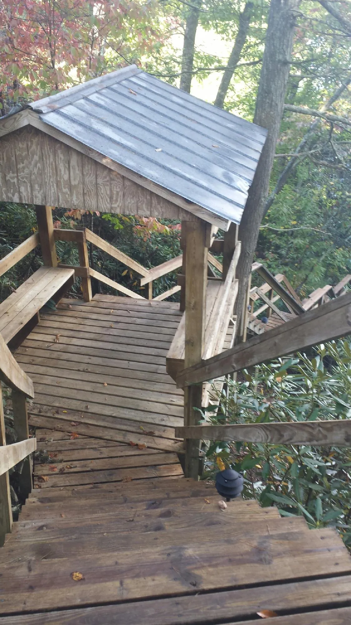 Metal roofed shelter over wooden steps on a wooded walkway — Skylight Repair & Installation work by our crew in Gautier